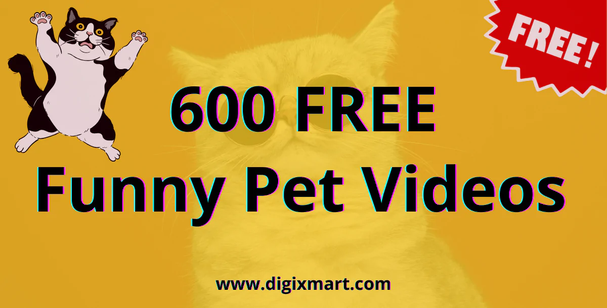 600 Funny Pet Videos – Free Download! 🐱
